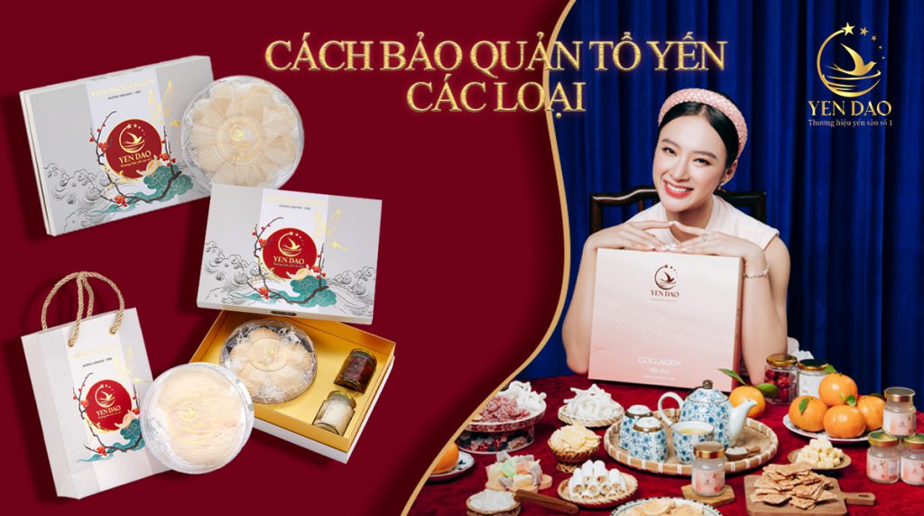 cách bảo quản tổ yến