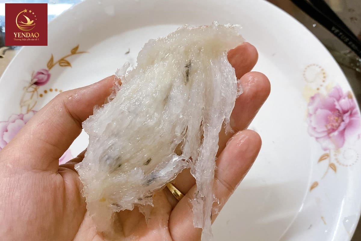 nhặt lông yến không sạch
