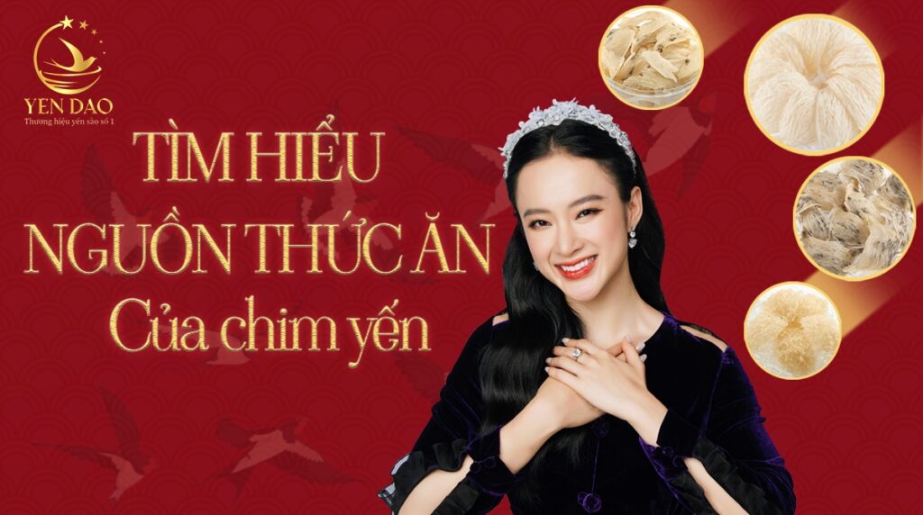 chim yến ăn gì