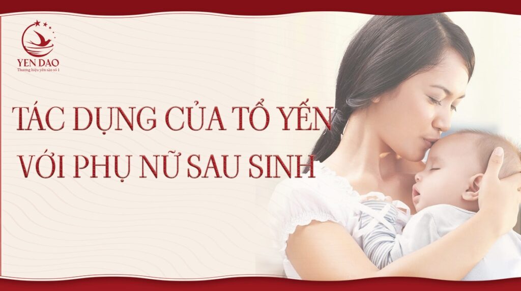 tác dụng của yến sào với phụ nữ sau sinh