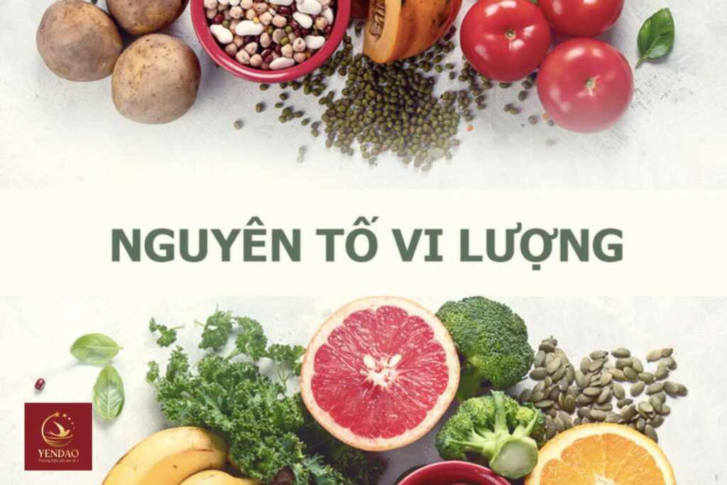 Nguyên tố vi lượng