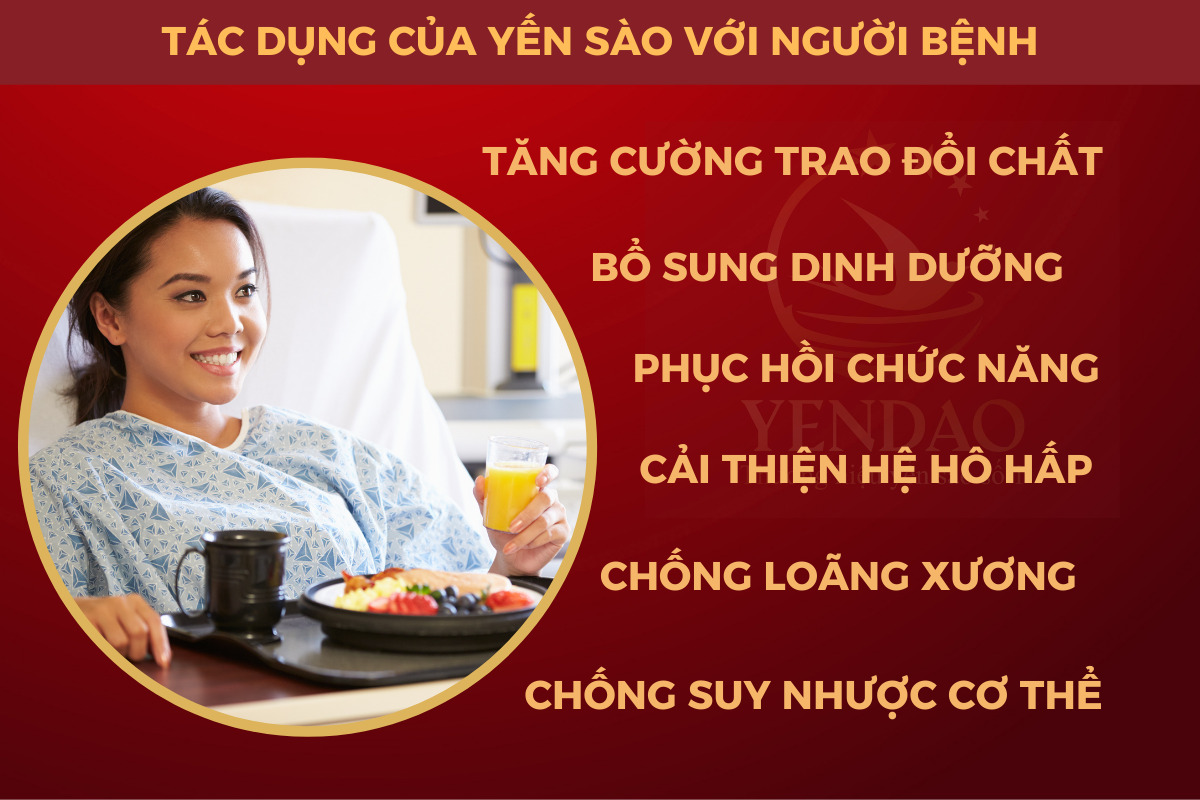 tác dụng của yến sào với người bệnh